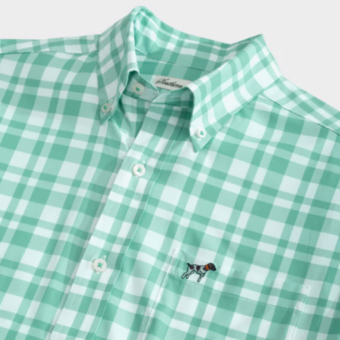 YOUTH Southern Point Hadley Performance Button Down