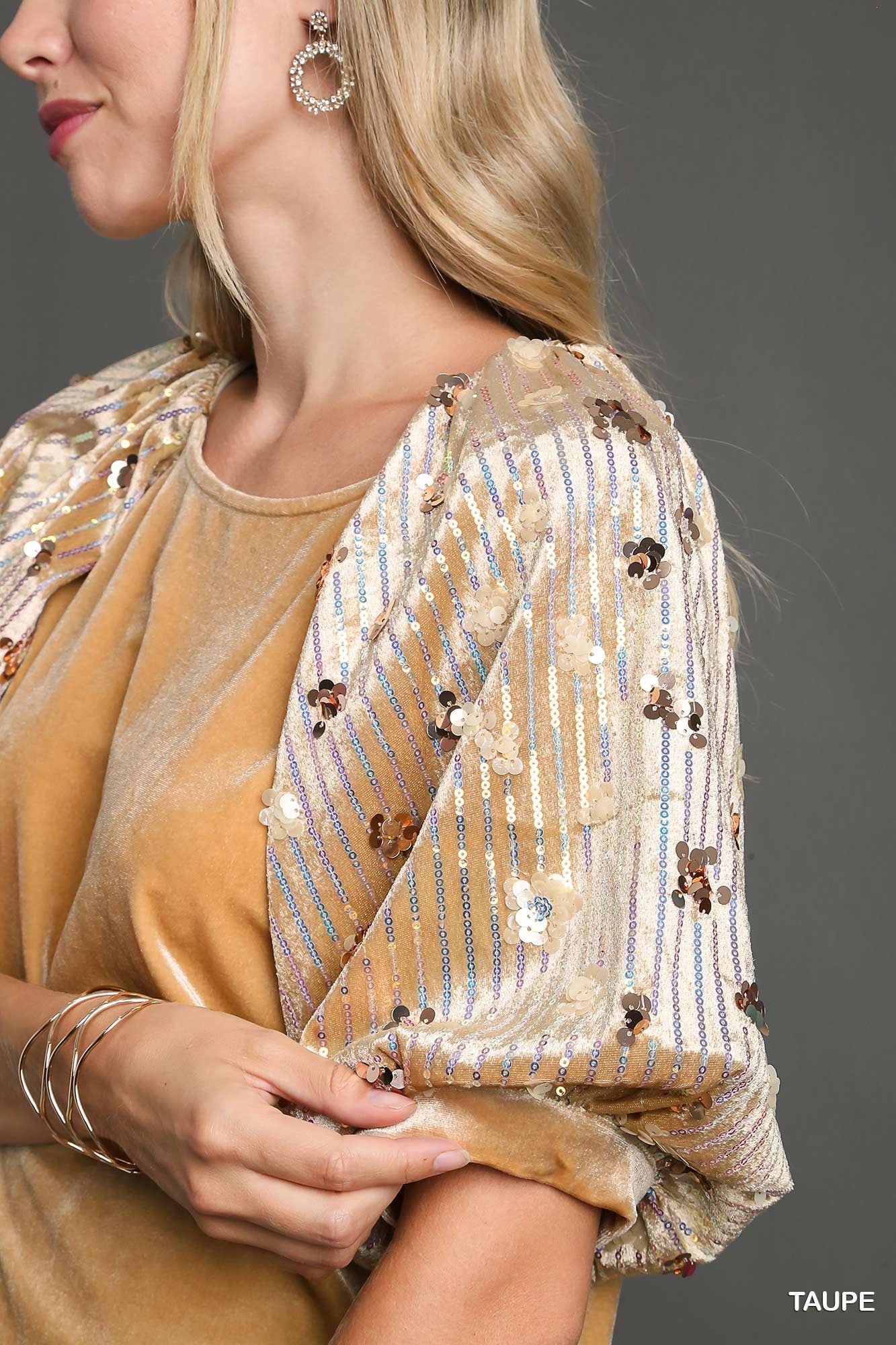 Puff Sleeve Velvet & Sequin Top